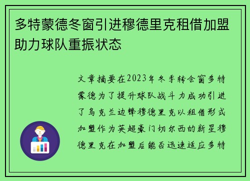 多特蒙德冬窗引进穆德里克租借加盟助力球队重振状态 多特蒙德冬窗引进穆德里克租借加盟助力球队重振状态